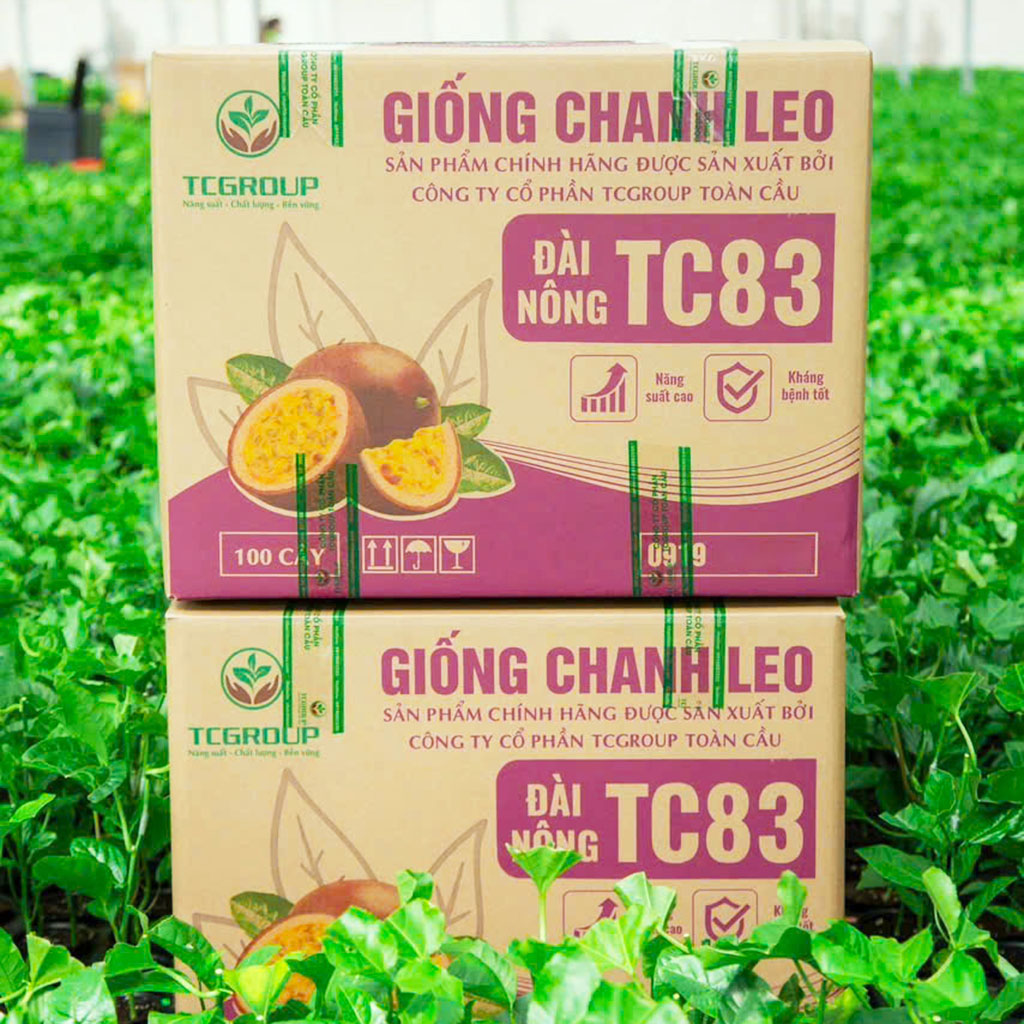 TOAN CAU PASSION FRUIT SEEDLINGS