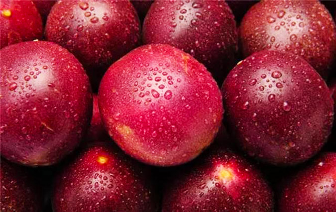 FROZEN PASSION FRUIT