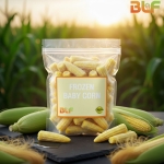 FROZEN BABY CORN